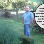 Scandal în Procuratură: prim procurorul Dumitrache Marius, de la Răcari, zis „Păcănel”, gambler și membru într-un sindicat al polițiștilor. Va fi dat afară, cum zice legea?