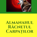 Criza de la C.C.R. și răstignirea mediatică a celor 4 judecători neascultători